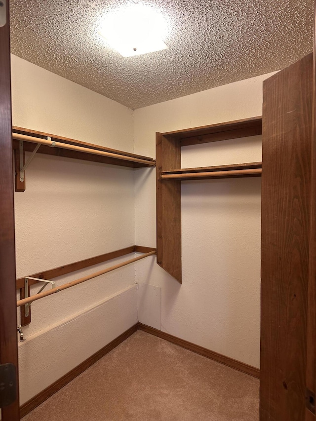 154A Scofield Ave, Forsyth, MO 65653 - spacious closet featuring carpet floors