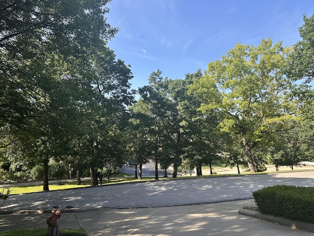 154A Scofield Ave, Forsyth, MO 65653 - view of road