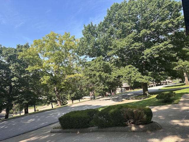154A Scofield Ave, Forsyth, MO 65653 - view of surrounding community