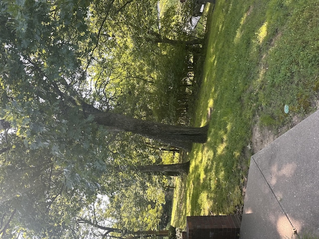 154A Scofield Ave, Forsyth, MO 65653 - exterior view of a heavily wooded area