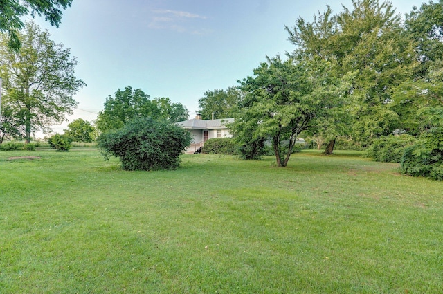 510 E College St, Walnut Grove, MO 65770 - view of grassy yard