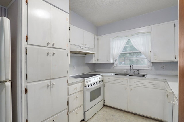510 E College St, Walnut Grove, MO 65770 - kitchen featuring under cabinet range hood, a sink, white appliances, light floors, and light countertops