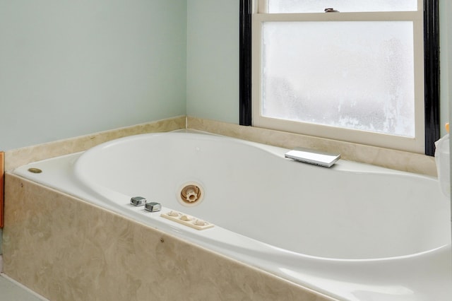 4402 Quail Run Rd, Ozark, MO 65721 - full bathroom with plenty of natural light and a tub