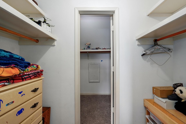 4402 Quail Run Rd, Ozark, MO 65721 - walk in closet featuring carpet