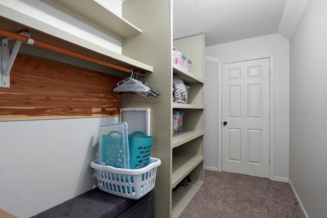 4402 Quail Run Rd, Ozark, MO 65721 - walk in closet with carpet
