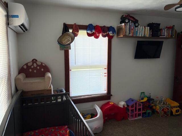 317 W Pleasant St, Aurora, MO 65605 - photo 12
