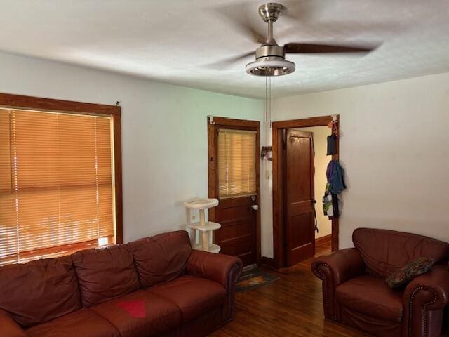 317 W Pleasant St, Aurora, MO 65605 - photo 7