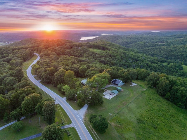 19326 Boat Dock Rd W, Omaha, AR 72662 - aerial view of property and surrounding area featuring a forest