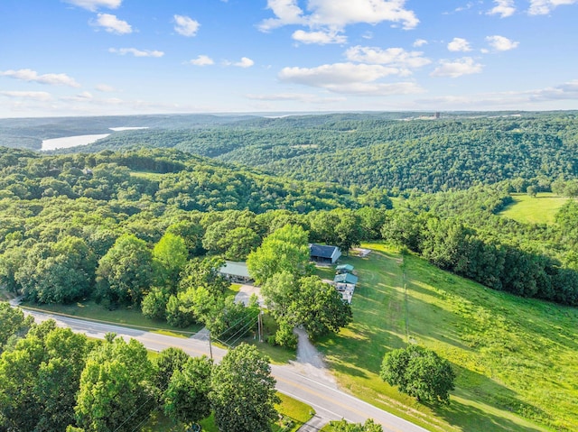 19326 Boat Dock Rd W, Omaha, AR 72662 - aerial view of a forest