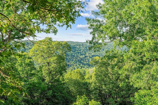 19326 Boat Dock Rd W, Omaha, AR 72662 - view of mountain background with a heavily wooded area