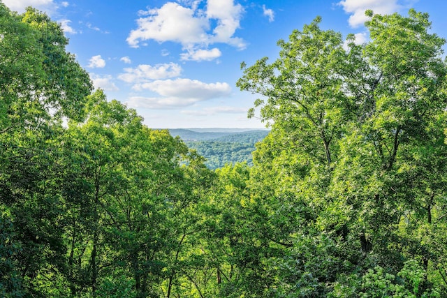 19326 Boat Dock Rd W, Omaha, AR 72662 - water view with a heavily wooded area