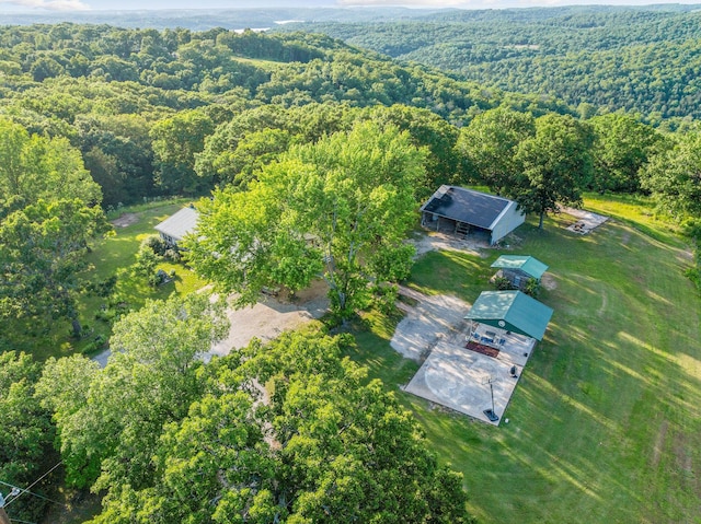 19326 Boat Dock Rd W, Omaha, AR 72662 - aerial view of a forest