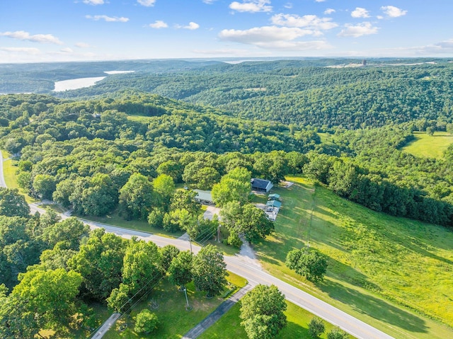 19326 Boat Dock Rd W, Omaha, AR 72662 - view of property location with a forest
