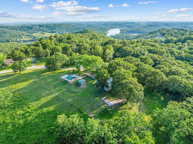 19326 Boat Dock Rd W, Omaha, AR 72662 - aerial view of property and surrounding area with a heavily wooded area