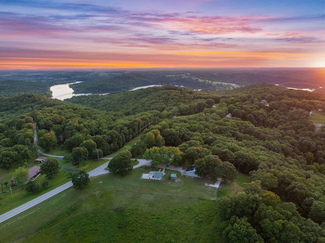 19326 Boat Dock Rd W, Omaha, AR 72662 - aerial view at dusk of a view of trees