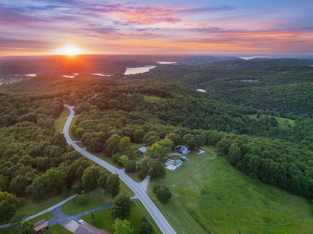 19326 Boat Dock Rd W, Omaha, AR 72662 - aerial view at dusk of a forest view