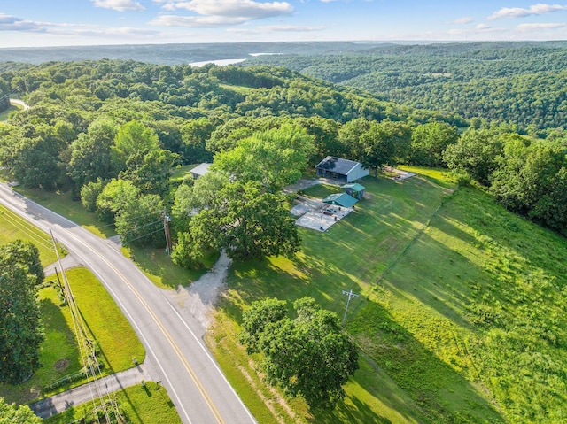 19326 Boat Dock Rd W, Omaha, AR 72662 - drone / aerial view of a heavily wooded area