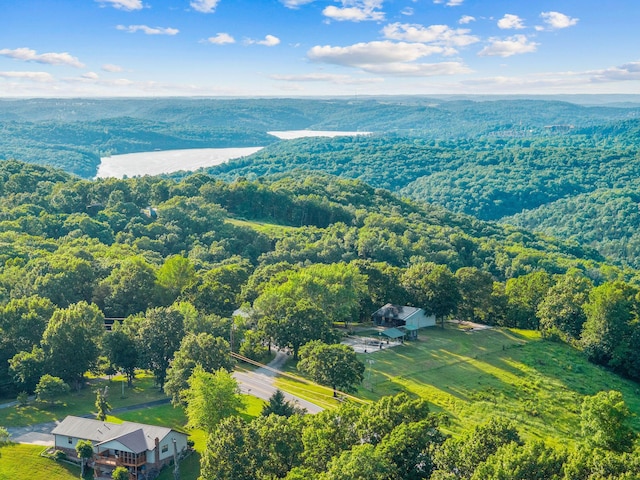 19326 Boat Dock Rd W, Omaha, AR 72662 - aerial view of property and surrounding area with a heavily wooded area