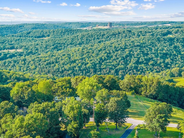 19326 Boat Dock Rd W, Omaha, AR 72662 - aerial view of a heavily wooded area