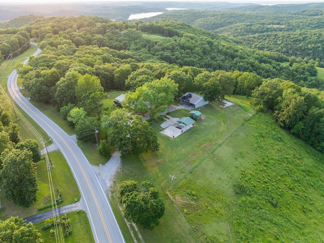 19326 Boat Dock Rd W, Omaha, AR 72662 - aerial view of property and surrounding area featuring a heavily wooded area