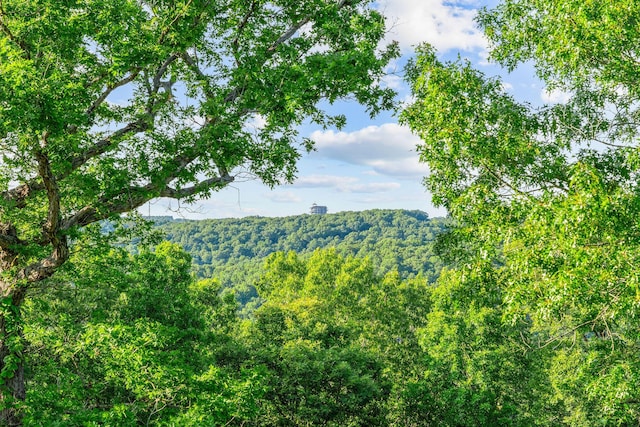 19326 Boat Dock Rd W, Omaha, AR 72662 - view of mountain backdrop with a heavily wooded area