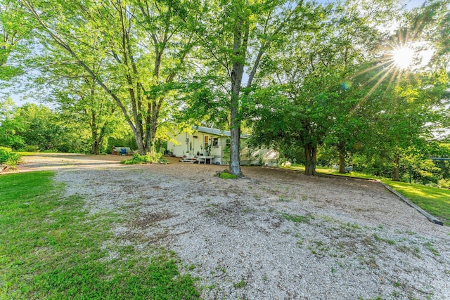 19326 Boat Dock Rd W, Omaha, AR 72662 - view of yard