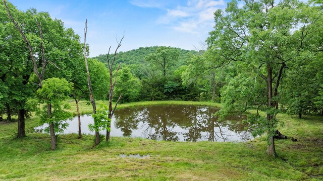 10594 N Farm Rd Unit 137, Brighton, MO 65617 - photo 54
