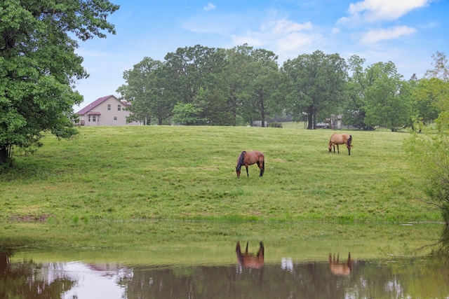10594 N Farm Rd Unit 137, Brighton, MO 65617 - photo 61