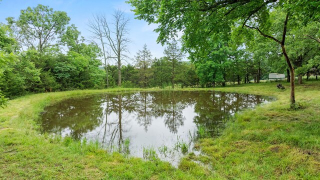 10594 N Farm Rd Unit 137, Brighton, MO 65617 - photo 53