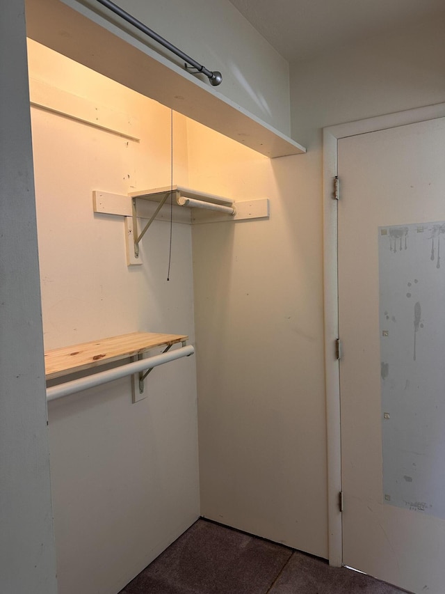 130 Wichita Ave, Forsyth, MO 65653 - view of walk in closet