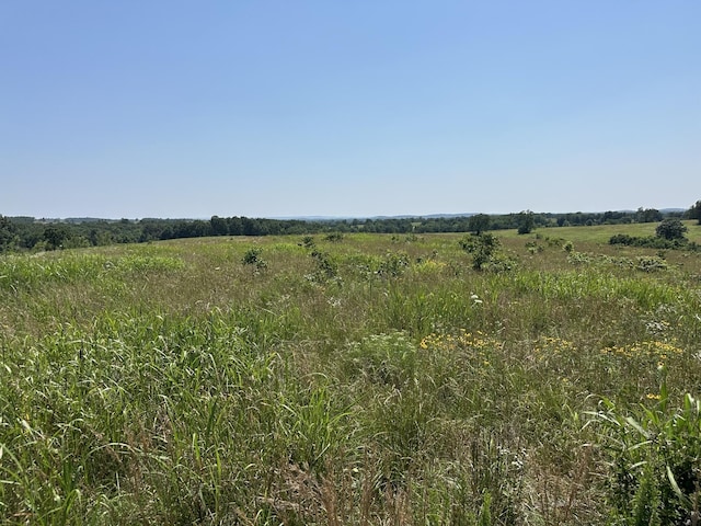 2702 US Highway 160, Theodosia, MO 65761