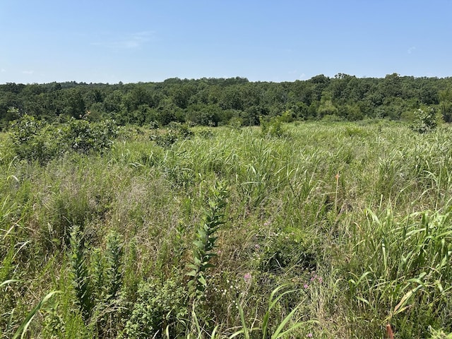 2702 US Highway 160, Theodosia, MO 65761