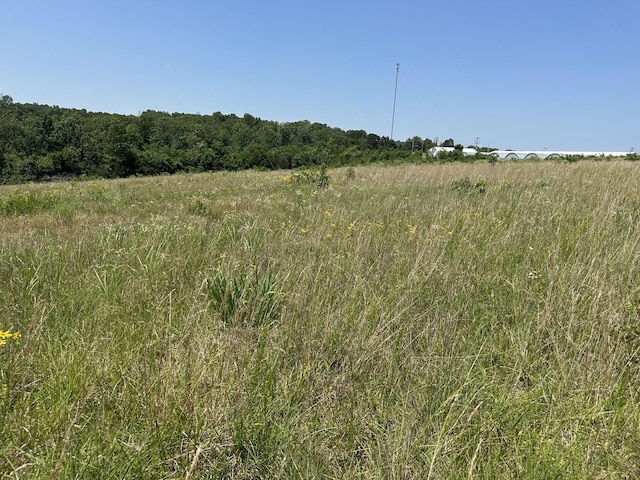 2702 US Highway 160, Theodosia, MO 65761