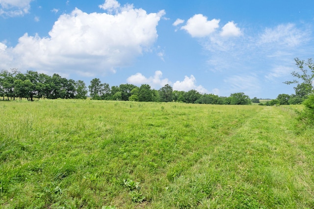 TRACTTBD W Farm Road 64, Ash Grove, MO 65604 - photo 13