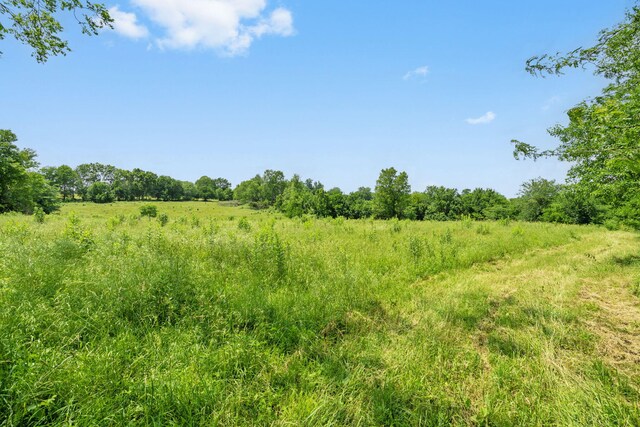 TRACTTBD W Farm Road 64, Ash Grove, MO 65604 - photo 9