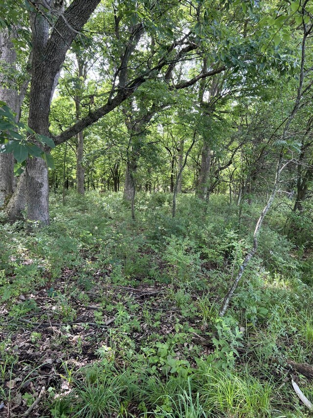 TRACTTBD W Farm Road 64, Ash Grove, MO 65604 - photo 25