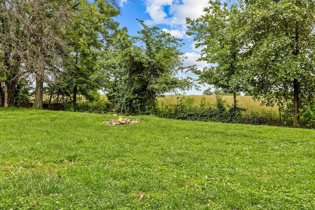 206 Plum St, Sparta, MO 65753 - view of grassy yard