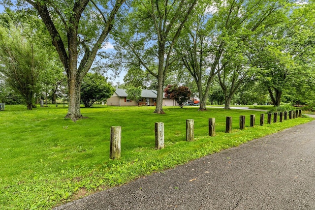 206 Plum St, Sparta, MO 65753 - view of grassy yard