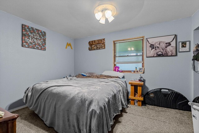 206 Plum St, Sparta, MO 65753 - bedroom featuring carpet floors