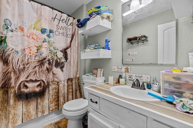 206 Plum St, Sparta, MO 65753 - full bathroom featuring vanity, a textured wall, and curtained shower