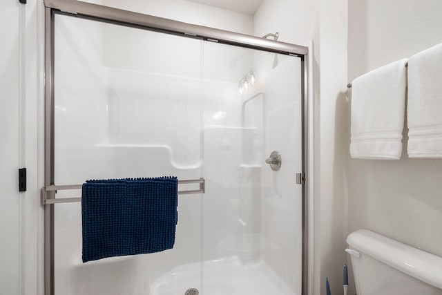 224 David Shawn Dr, Branson, MO 65616 - full bathroom with toilet and a stall shower
