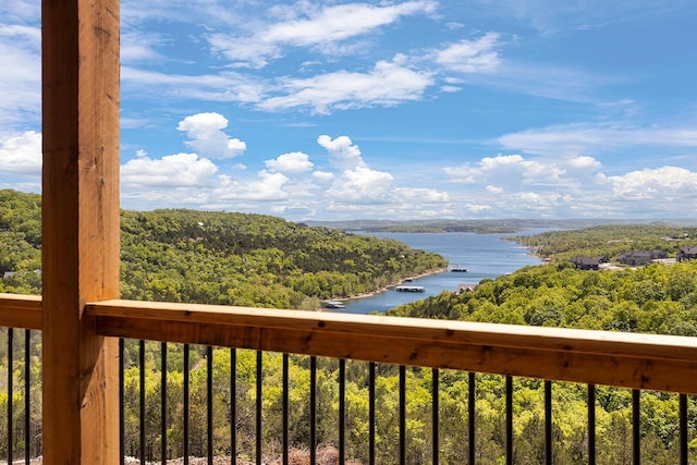 224 David Shawn Dr, Branson, MO 65616 - water view with a heavily wooded area