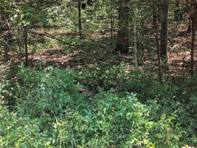 6LOTS Farm Rd Unit 1255, Shell Knob, MO 65747