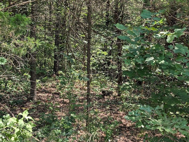 6LOTS Farm Rd Unit 1255, Shell Knob, MO 65747