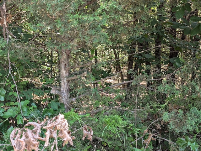 6LOTS Farm Rd Unit 1255, Shell Knob, MO 65747