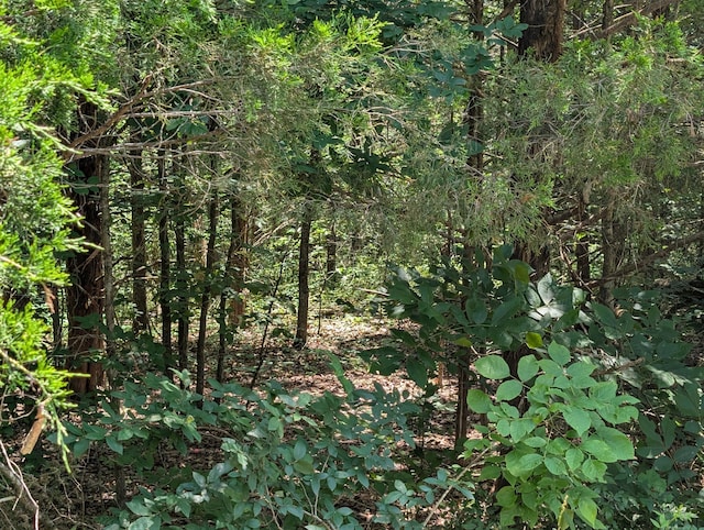6LOTS Farm Rd Unit 1255, Shell Knob, MO 65747