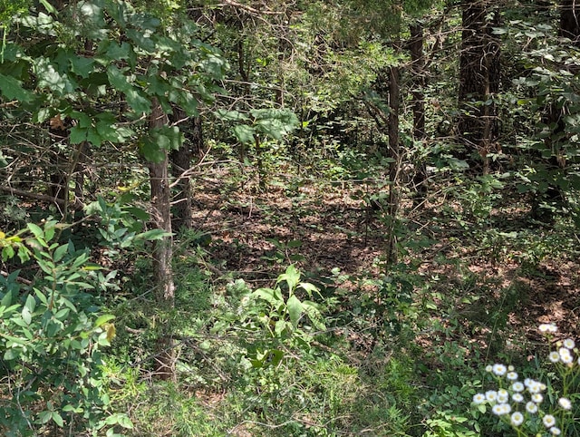 6LOTS Farm Rd Unit 1255, Shell Knob, MO 65747