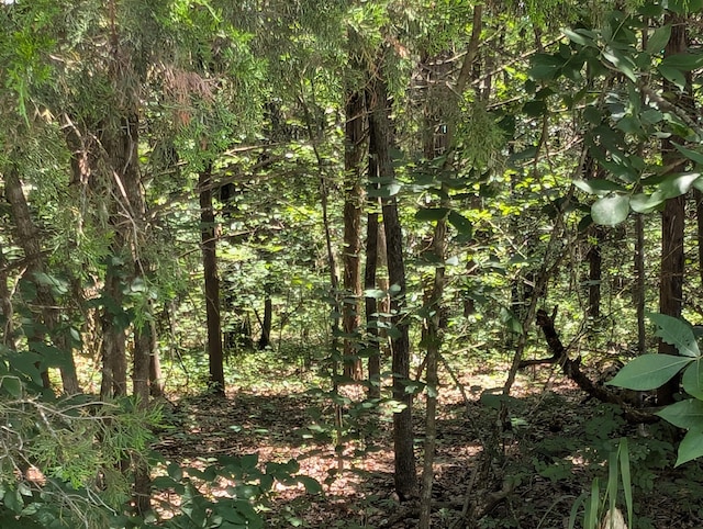 6LOTS Farm Rd Unit 1255, Shell Knob, MO 65747