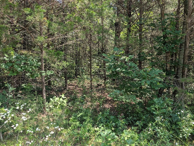 6LOTS Farm Rd Unit 1255, Shell Knob, MO 65747