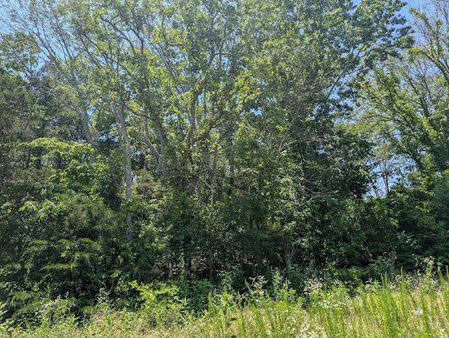 LOT140 Farm Rd Unit 1255, Shell Knob, MO 65747